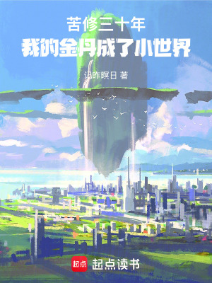 苦修三十年，我的金丹成了小世界