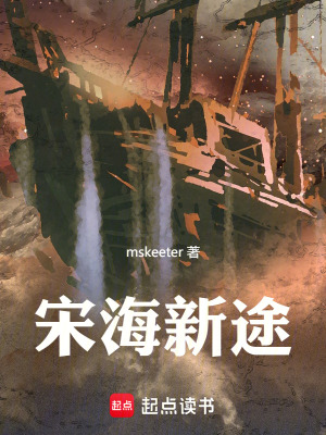 宋海新途