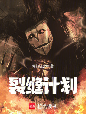 裂縫計劃