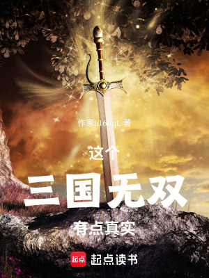 這個三國無雙有點真實