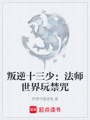 叛逆十三少：法師世界玩禁咒
