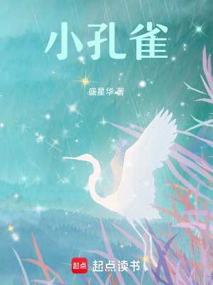 小孔雀