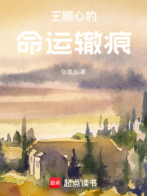 王順心的命運轍痕