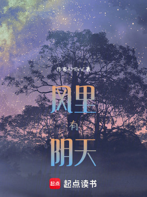風裏有陰天