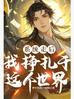 係統走後，我掙紮於這個世界