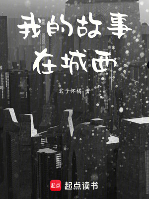 我的故事在城西
