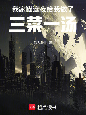我家貓連夜給我做了三菜一湯