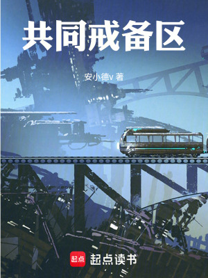 共同戒備區