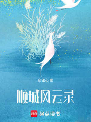 順城風雲錄