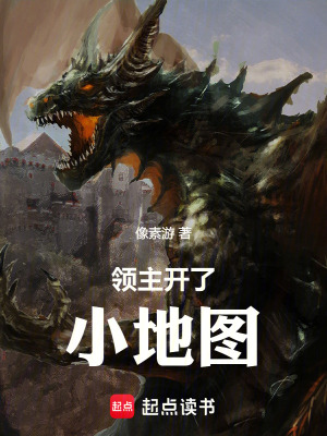 領主開了小地圖