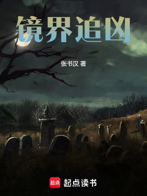 鏡界追凶