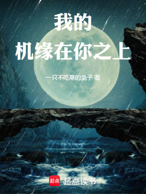 我的機緣在你之上