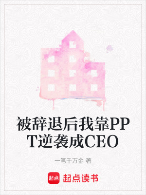 被辭退後我靠PPT逆襲成CEO