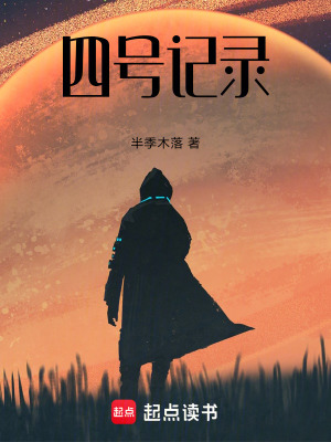 四號記錄