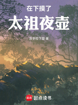 在下摸了太祖夜壺