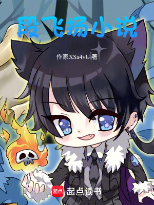 段飛揚小說