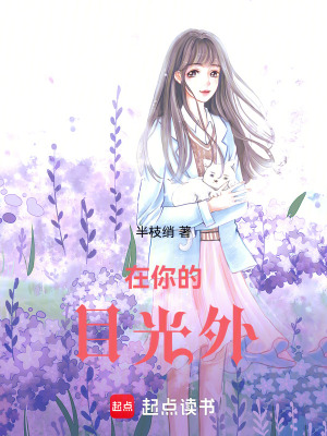 在你的目光外