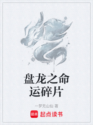 盤龍之命運碎片