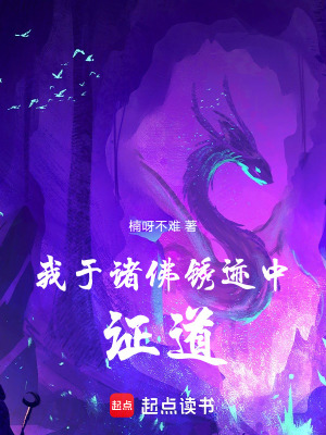 我於諸佛鏽跡中證道