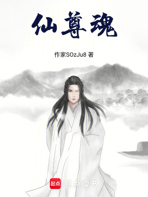 仙尊魂