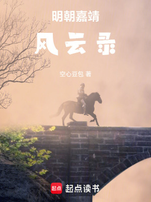 明朝嘉靖風雲錄