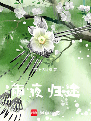 雨夜歸途