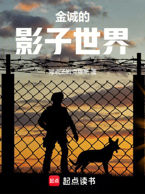 金誠的影子世界