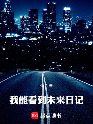 我能看到未來日記