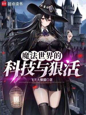 魔法世界的科技與狠活