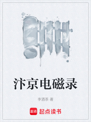 汴京電磁錄