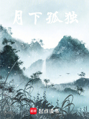 月下孤影
