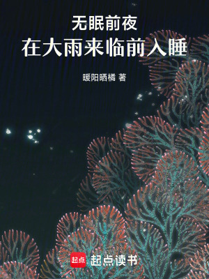 無眠前夜：在大雨來臨前入睡