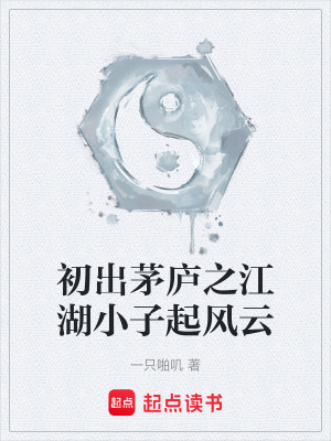 初出茅廬之江湖小子起風雲