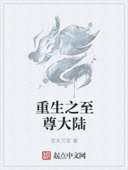 重生之至尊大陸