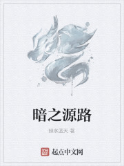 暗之源路