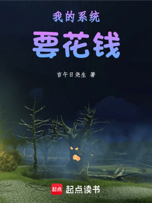 我的係統要花錢