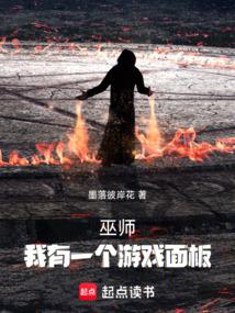 巫師，我有一個遊戲麵板