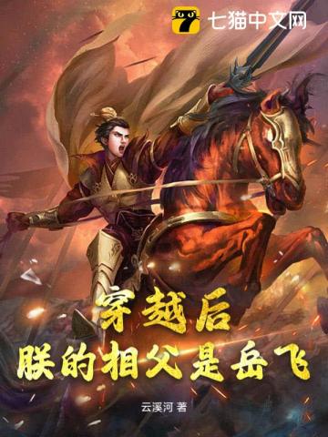 穿越後朕的相父是嶽飛？！