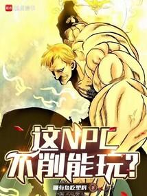 這NPC不削能玩？封麵