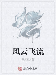 風雲飛流