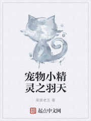 寵物小精靈之羽天