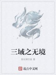 三域之無境