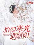 恰似寒光遇驕陽（慕容朵穆北辰）