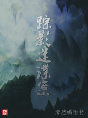 蹤影迷諜案