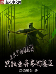 上不了白銀的我隻能去異界打魔王