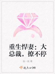 重生悍妻：大總裁，撩不停