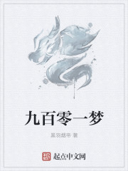九百零一夢