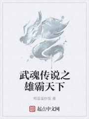 武魂傳說之雄霸天下