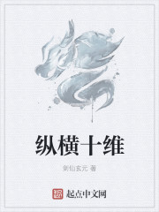縱橫十維
