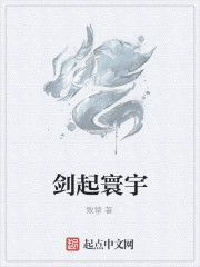 劍起寰宇